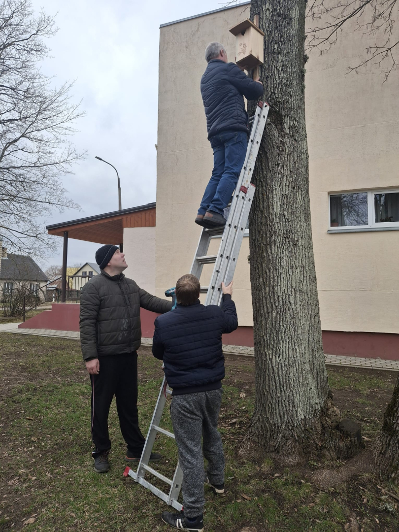 Vīrietis pakāpies uz kāpnēm, stiprina putnu būrīti