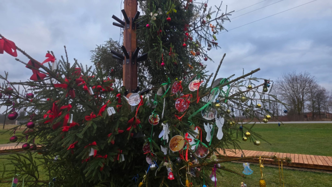 izrotāta Ziemassvētku egle