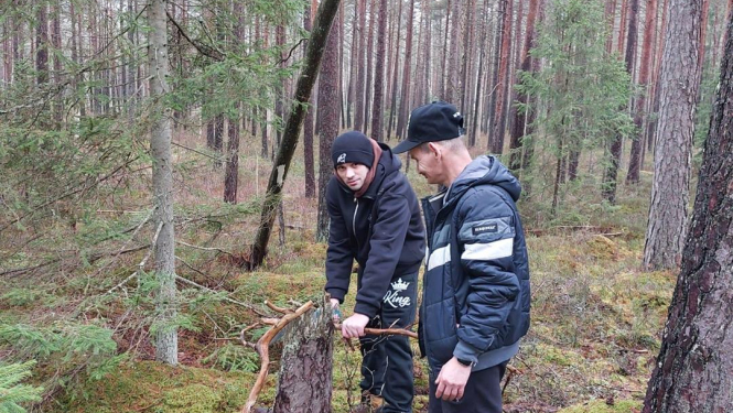 2 vīrieši mežā vāc zarus