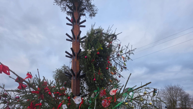 izrotāta Ziemassvētku egle