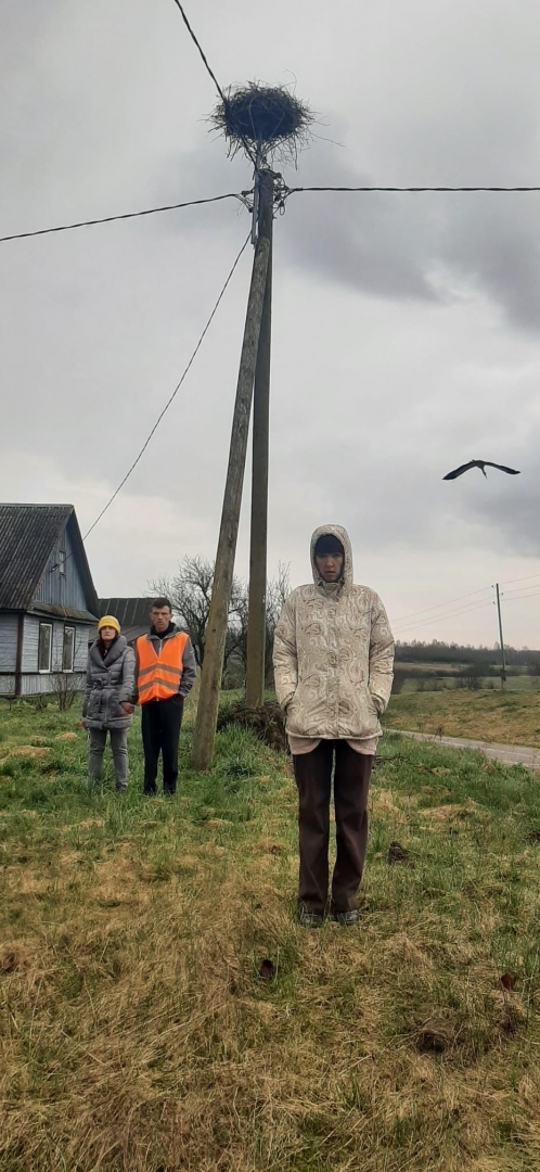 Cilvēki stāv pie elektrības staba, uz kura ir putnu ligzda