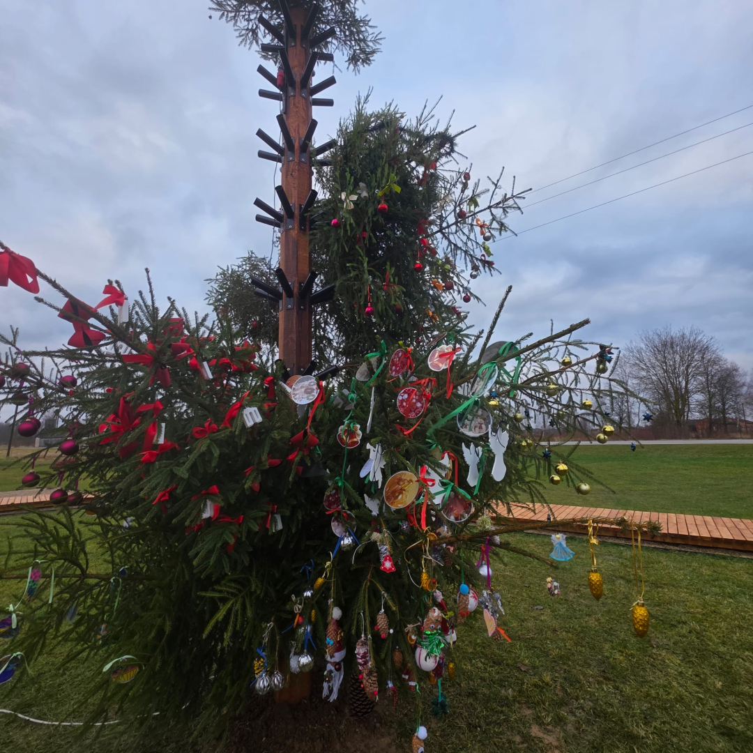 izrotāta Ziemassvētku egle