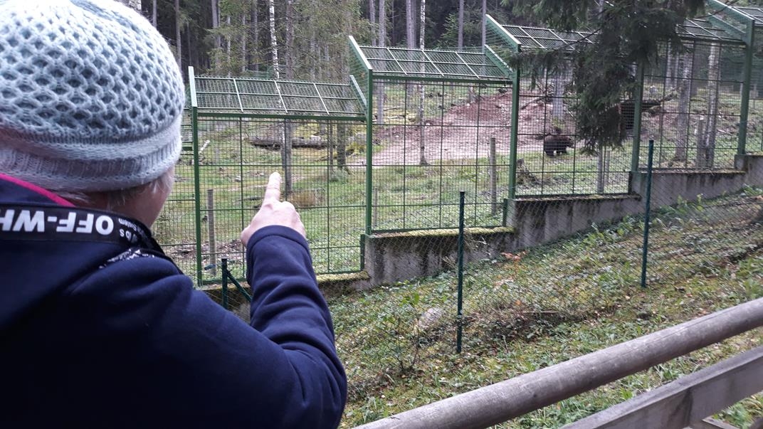 Klienti Līgatnes dabas parkā