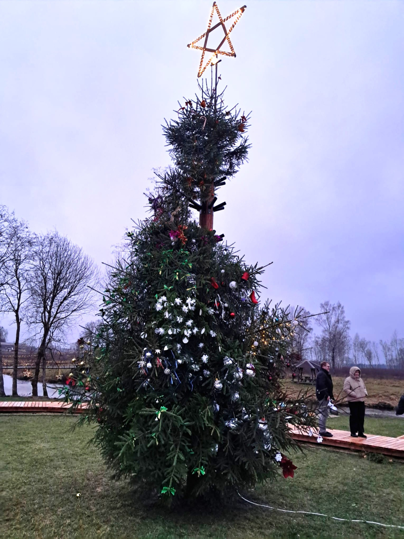 Izrotāta ziemassvētku eglīte