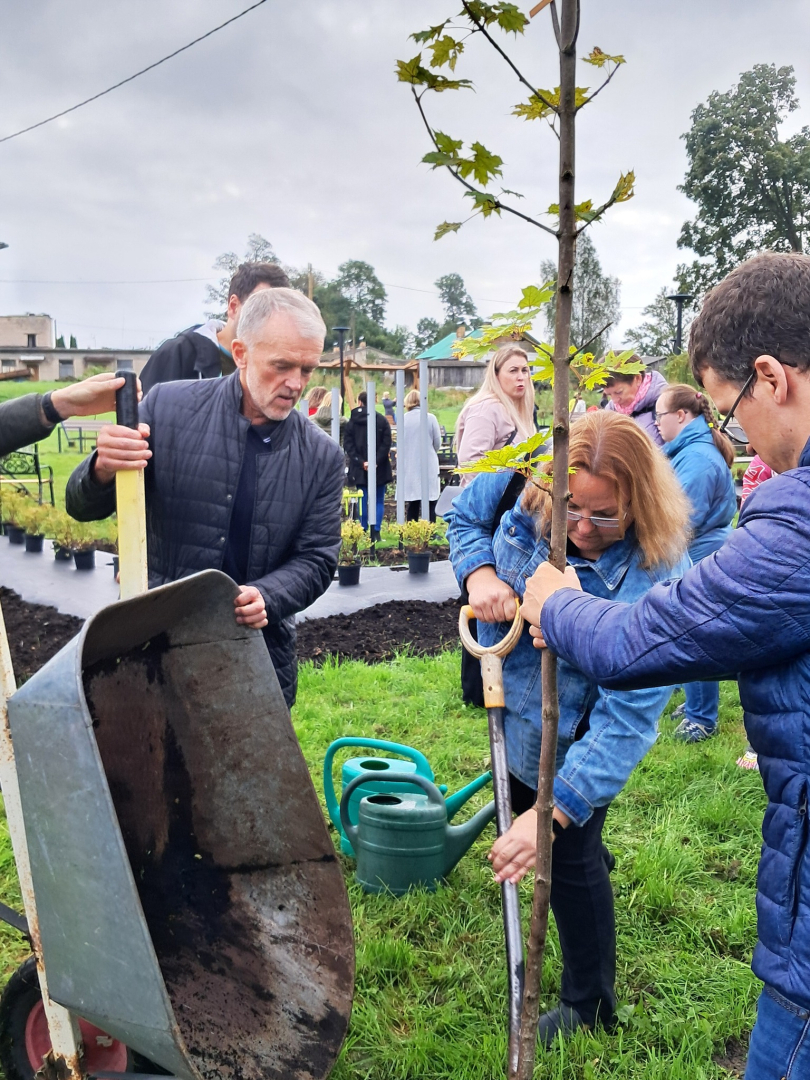 cilvēki stāda koku, vīrietis brauc ar ķerru