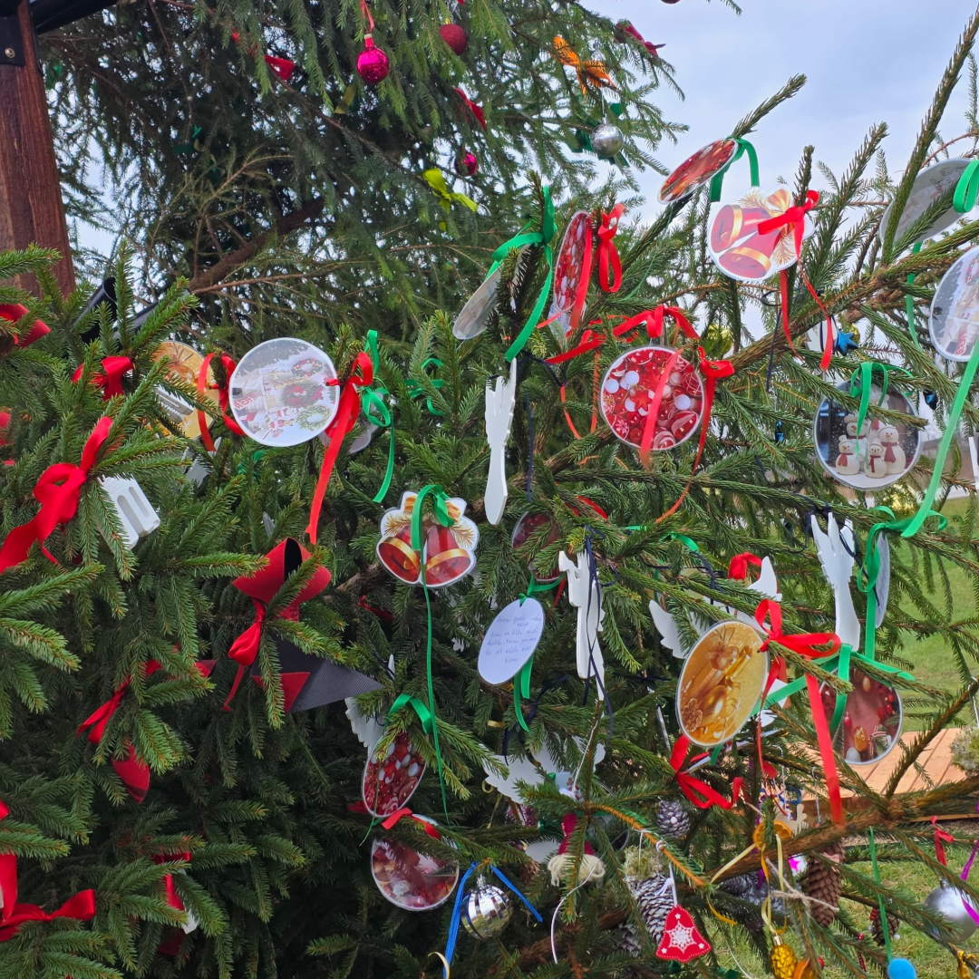 Izrotāta ziemassvētku egle