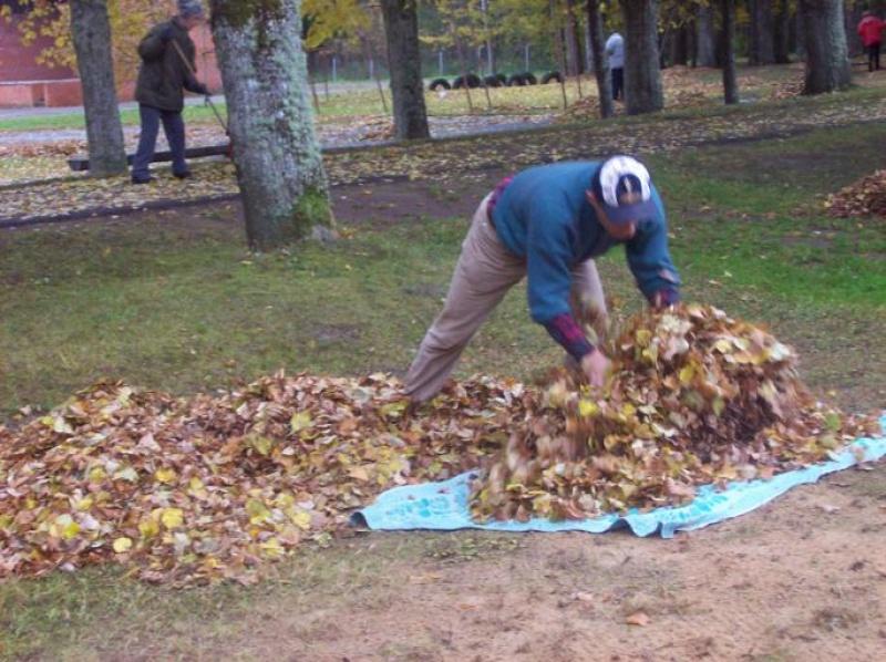 Lapu vākšana