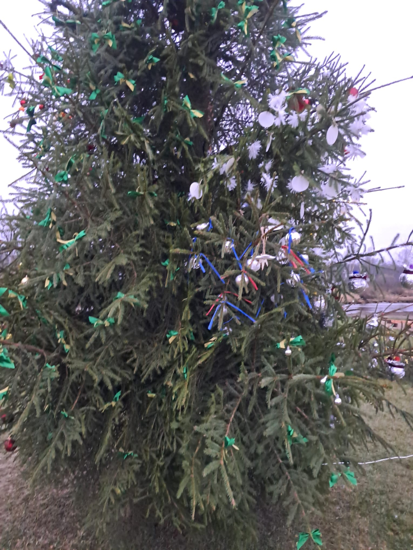 Izrotāta ziemassvētku eglīte