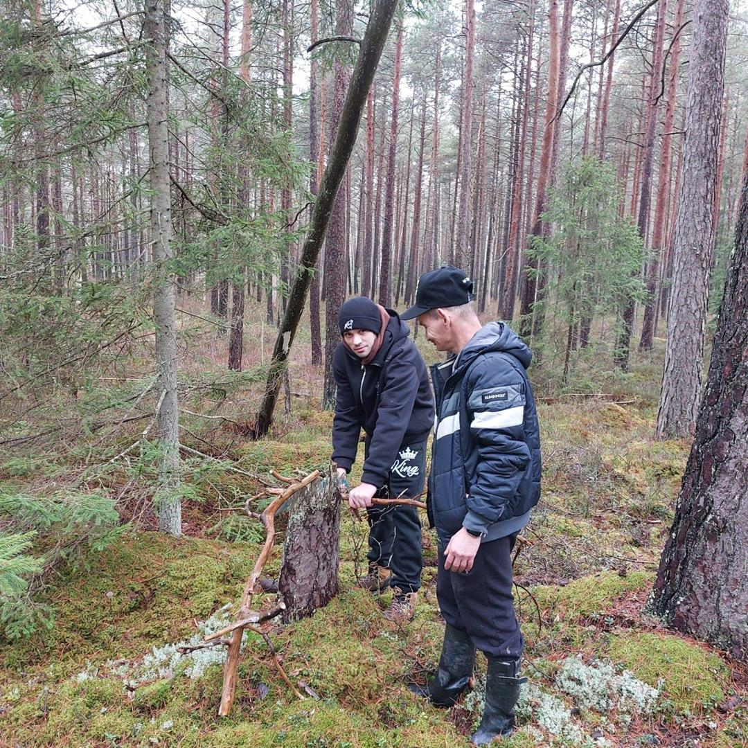 2 vīrieši mežā vāc zarus