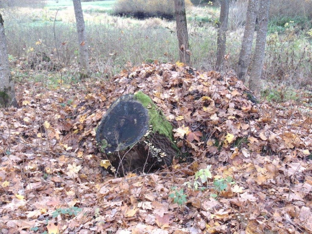 Klienti rudenī dodas vērot apkārtni