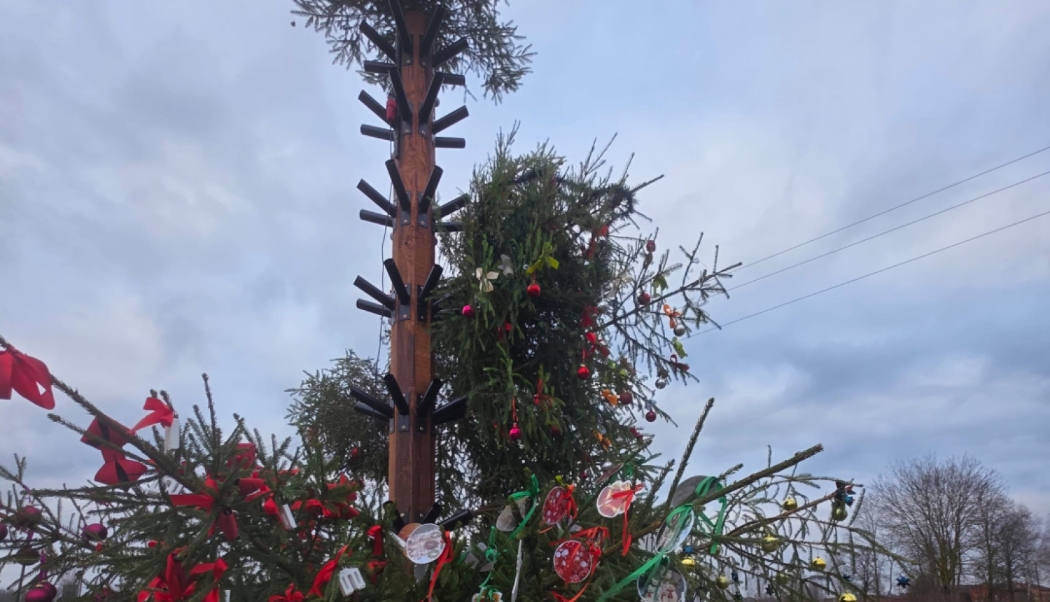 izrotāta Ziemassvētku egle